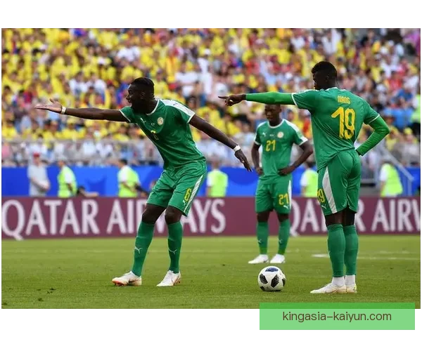 巴西队防守体系解析：备受期待的坚固防线如何在世界杯中发挥关键作用